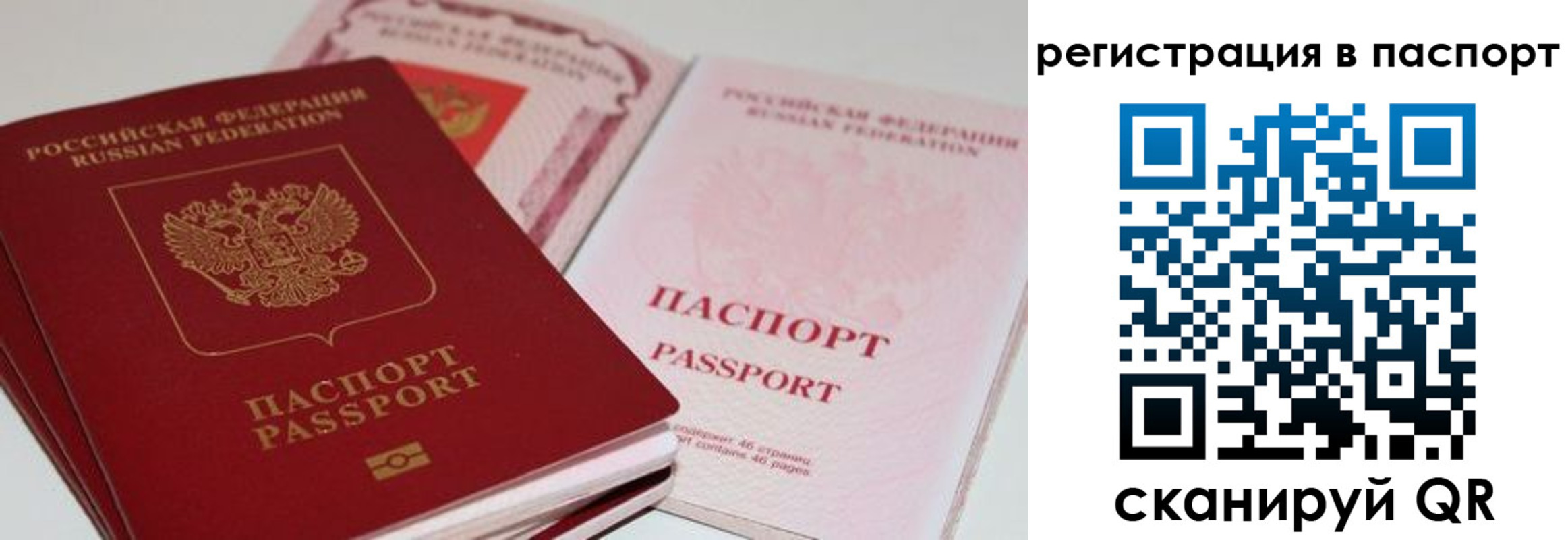найти адрес прописки в Хвалынске